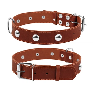 Нашийник для тварин Collar одинарний з прикрасами Ш 35 мм Д 48-63 см коричневий (02716) зображення 1