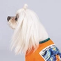 Футболка для тварин Pet Fashion "ART" XS2 жовтогаряча (4823082420933) - зменшене зображення 5