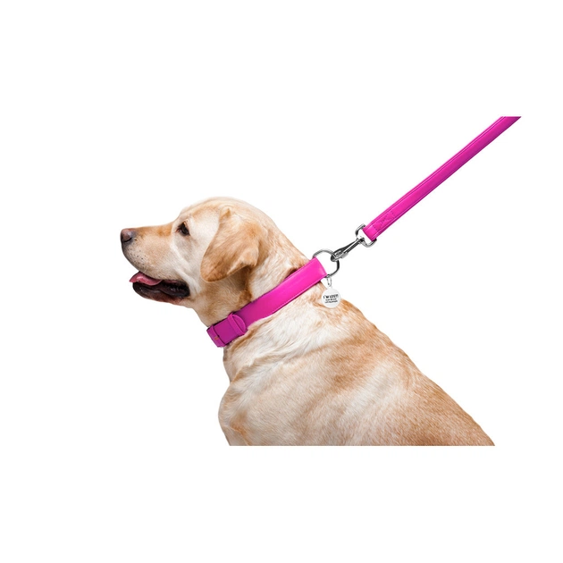 Повідець для собак WAUDOG Glamour шкіряний M-XXL рожевий (33767) - picture 6