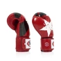 Боксерські рукавички Fairtex BGV1 Nation Print Red 14 унцій (бинти в комплекті) (BGV1_Print_14oz_Red) - зменшене зображення 5
