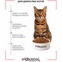 Сухий корм для кішок ProScience Adult Cat Salmon 1.5 кг (8694686407561) - зменшене зображення 5