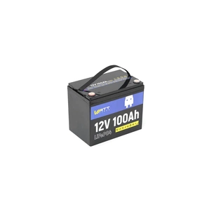 Батарея LiFePo4 WattCycle 12,8V 100Ah, 1,28kWh (WT12V100AH100) изображение 1