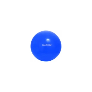 М'яч для фітнесу LiveUp Gym Ball LS3221-65b блакитний 65см (2016052700490) изображение 1