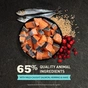 Сухий корм для кішок ACANA Bountiful Catch 4.5 кг (0064992714444) - зменшене зображення 5