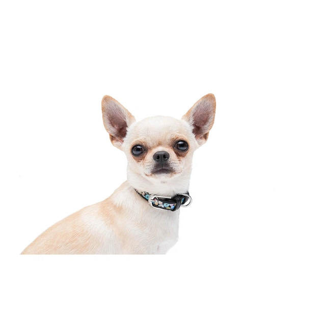 Нашийник для тварин WAUDOG Design з QR паспортом "Пончики" Ш 15 мм Д 26-35 см чорний (36921) - picture 8