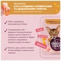 Вологий корм для кішок Delickcious Суп з сардини з креветками та додаванням гарбуза 80 г (4820269141568) - зменшене зображення 3