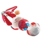 Набір для експериментів EDU-Toys Модель очного яблука збірна, 14 см (SK007) - зменшене зображення 3