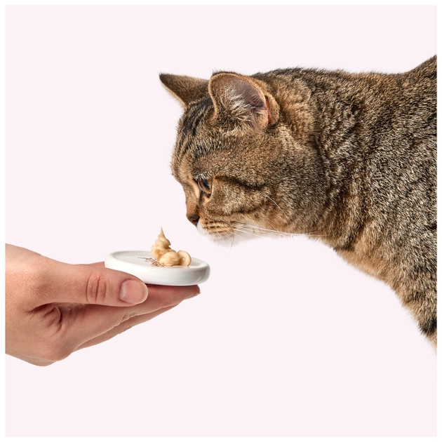 Ласощі для котів Delickcious ягня з додаванням коричневого рису та цукіні 4х15 г (4820269145368) - изображение 8