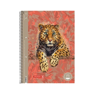 Книга записна Brunnen Коледж-блок А4 Premium Safari, лінія 80 аркушів (10-679 27 221) зображення 1