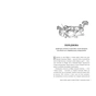 Книга Леді з Ґрейс-Адью та інші історії - Сюзанна Кларк Видавництво РМ (9786178373092) - зменшене зображення 4