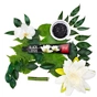 Зубна паста Splat Special Black Lotus 75 мл (4603014008541) - зменшене зображення 3
