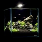 Акваріум Aqualighter набір NaGLASS Nano Set 220 мм 10 л (7142) - зменшене зображення 5