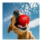 Іграшка для собак WAUDOG Fun Red Ball 70 мм (6001) - зменшене зображення 5
