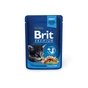 Вологий корм для кішок Brit Premium Cat для кошенят 85 г (філе курки в соусі) (8595602518579) - зменшене зображення 1