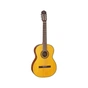 Гітара класична Takamine GC3 NAT (228885) - зменшене зображення 1