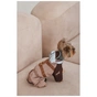 Дощовик для тварин Pet Fashion Mustang XL (4823082435128) - уменьшенное изображение 5