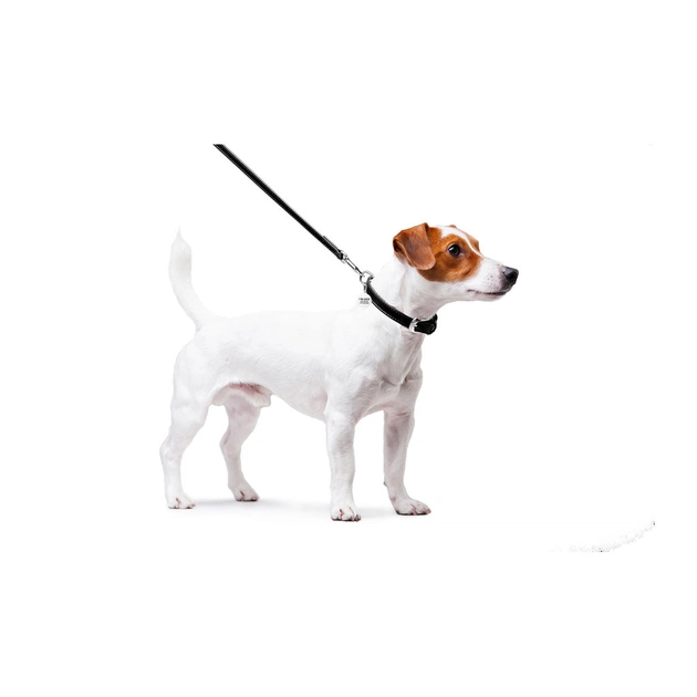 Повідець для собак WAUDOG Glamour шкіряний XS чорний (33721) - зображення 4