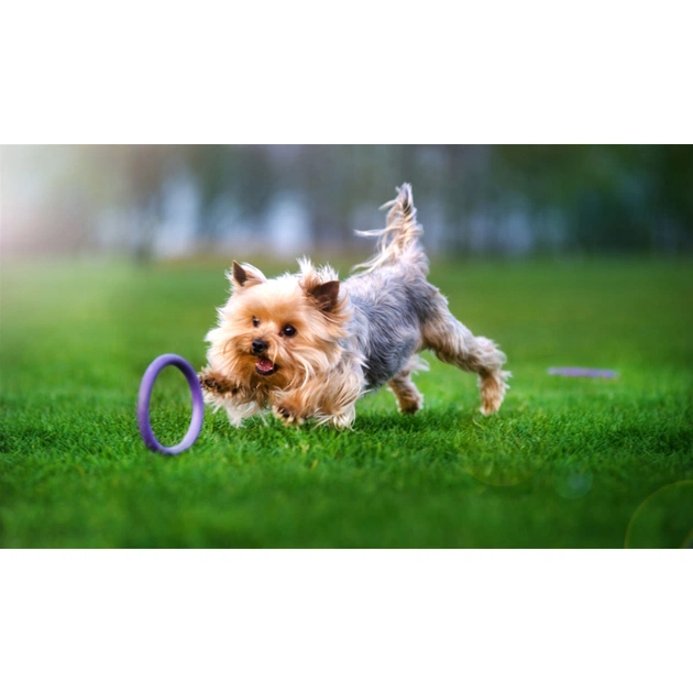 Игрушка для собак Puller Micro 13 см 2шт (6489) - изображение 5