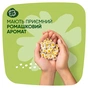 Гігієнічні прокладки Naturella Ultra Maxi (Розмір 3) 32 шт. (8006540399569) - зменшене зображення 6