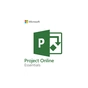 Офісний додаток Microsoft Project Online Essentials P1Y Annual License (CFQ7TTC0LHP3_0001_P1Y_A) - зменшене зображення 1