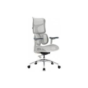 Офісне крісло Sihoo DORO S100 Mesh White (S100-M302) зображення 1