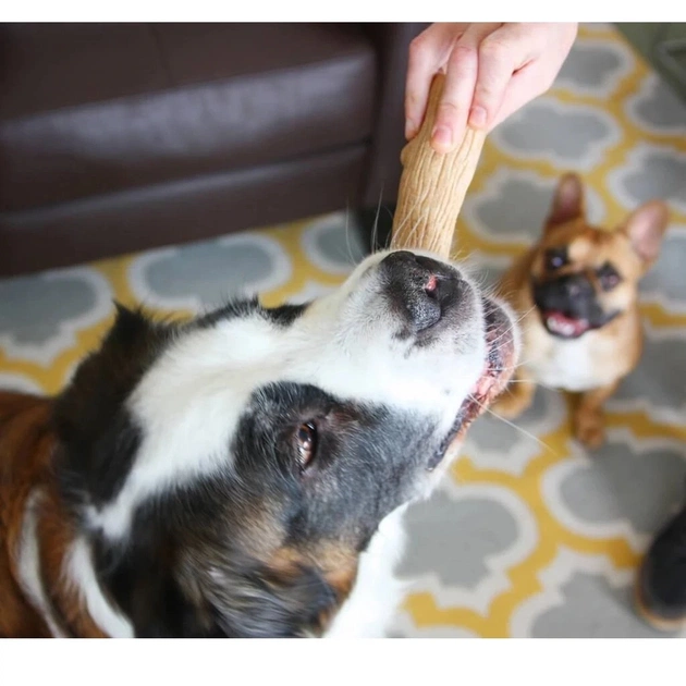 Игрушка для собак Petstages Dogwood Stick "Прочная ветвь" 13.5 см (0871864002178) - изображение 4