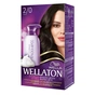 Фарба-мус для волосся Wellaton стойкая 2/0 Черный (4056800997756) - уменьшенное изображение 1