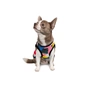 Борцівка для тварин Pet Fashion Cool XS2 різнобарвна (4823082420179) - зменшене зображення 3
