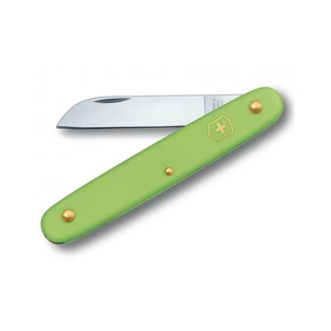 Ніж Victorinox Floral Matt Green Blister (3.9050.47B1) зображення 1