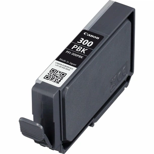 Картридж Canon PFI-300 Photo Black (4193C001) изображение 1