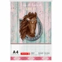 Альбом для малювання Brunnen А4 Ponylove 100л 70 г/м2 (10 474 07 742) - зменшене зображення 1