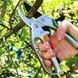 Секатор Gruntek Kondor 200х20 мм (295200200) - уменьшенное изображение 3