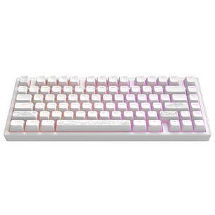 Клавіатура Dark Project ALU81 Terra Nostra PBT RGB Mech G3MS Moonstone White (DPKB_NOSTRA_81_ANSI_WHITE_UA) зображення 1
