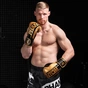 Боксерські рукавички Phantom APEX Elastic Gold 16oz (PHBG2215-16) - зменшене зображення 7