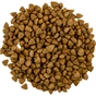 Сухий корм для кішок Savory Adult Cat Steril Fresh Lamb and Chicken 2 кг (4820232630112) - зменшене зображення 5