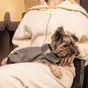 Жилет для тварин Pet Fashion Harry М (4823082430123) - зменшене зображення 4