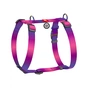 Шлея для собак WAUDOG Nylon Recycled анатомічна H-подібна з QR-паспортом, градієнт L фіолетова (46549) - зменшене зображення 1
