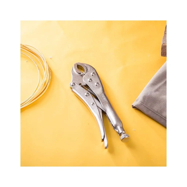 Плоскогубці Deli вигнуті 10" (EDL2001) - picture 4