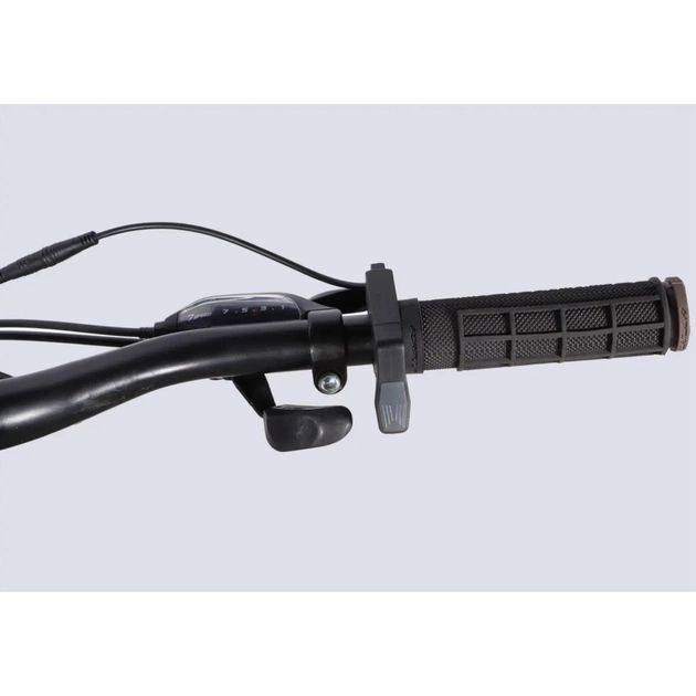 Електровелосипед Formula 29" eMOTION PLUS DD FR рама-19" 36B 12.5А*г 500Вт 2026 сіро-сріблястий (ELB-FR-29-258) - picture 8