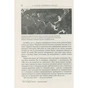 Книга А потім прийшов Цезар - Алекс Хавр Фабула (9786170949653) - уменьшенное изображение 8