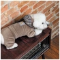 Костюм для тварин Pet Fashion Soft S коричневий (4823082427895) - зменшене зображення 6