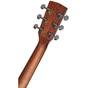 Гітара акустична Cort Earth Bevel Cut Open Pore - зменшене зображення 5