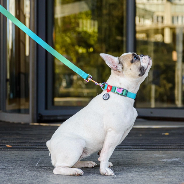 Повідець для собак WAUDOG Nylon Recycled L-XXL Ш 25 мм Д 122 cм помаранчевий (46604) - зображення 4