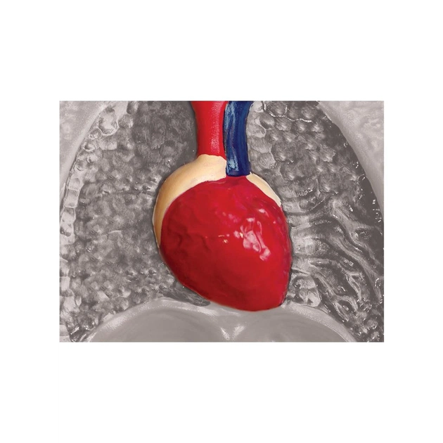 Пазл 4D Master Горила (FM-622012) - picture 8