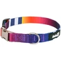 Нашийник для тварин AnimAll HL-C-T001A L-3 2.5x40-65 см абстракція (2000981199173) - зменшене зображення 1