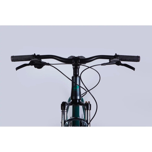 Велосипед Formula 29" ZEPHYR 1.0 HDD рама-19" AL 2026 темно-сріблястий з зеленим (OPS-FR-29-449) - изображение 6