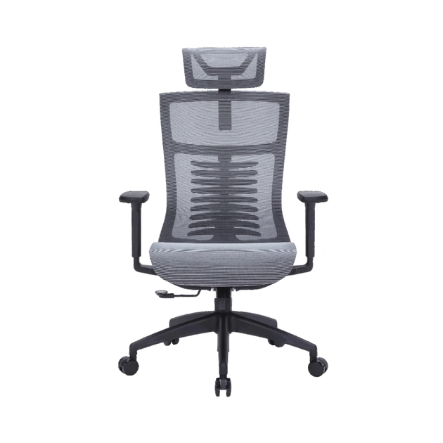 Офісне крісло OfficePro Balance OC620-B-DG-DG (OC620-B-DG-DG) - зображення 1