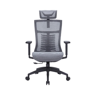 Офісне крісло OfficePro Balance OC620-B-DG-DG (OC620-B-DG-DG) зображення 1