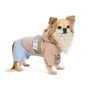 Дощовик для тварин Pet Fashion Tina L бежевий/блакитний (4823082435180) - зменшене зображення 2
