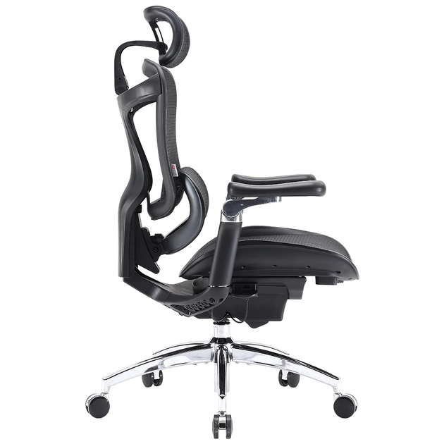 Офісне крісло Sihoo DORO C300 Pro Mesh Black (DORO-C300-PRO-M101) - picture 5